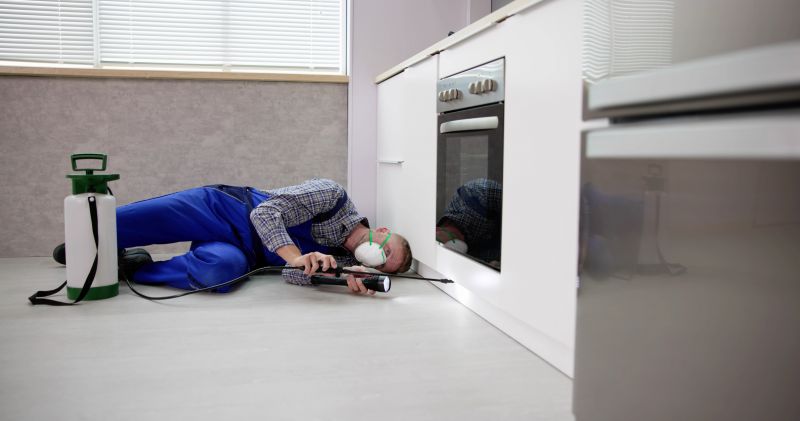 Who Does Kitchen Remodelings